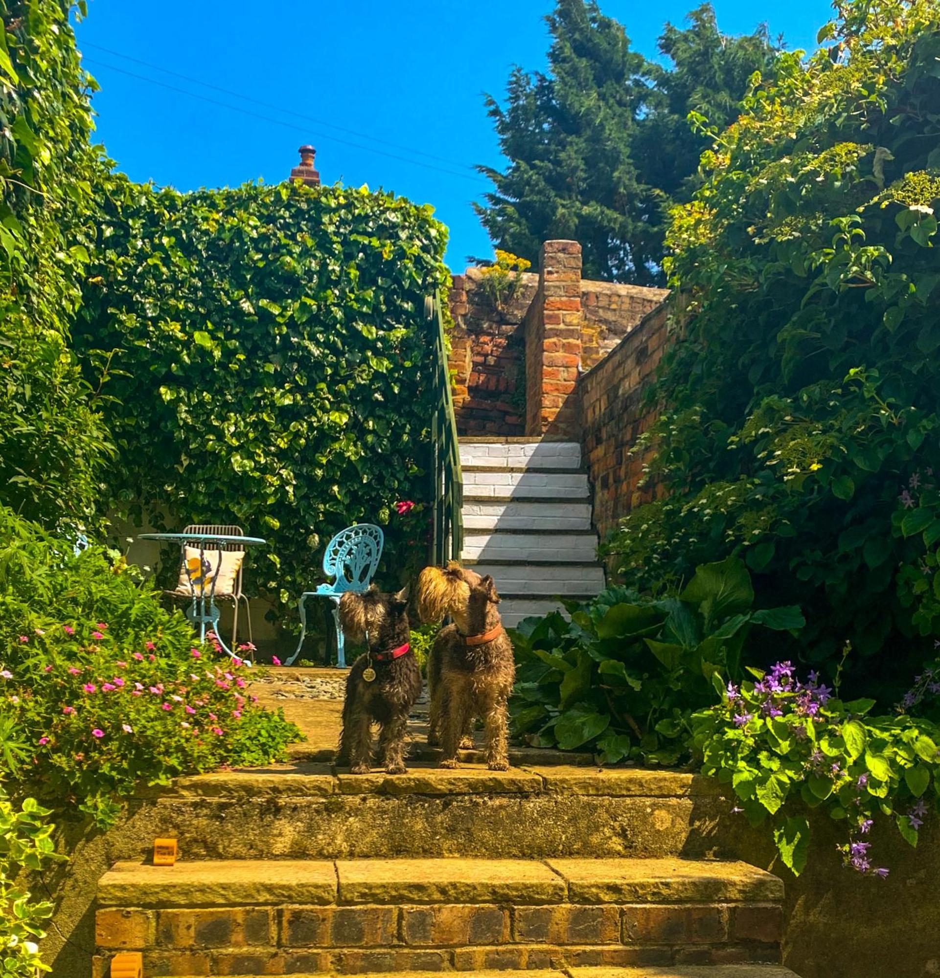 Gowland Cottage, Old Town, Scarborough Zewnętrze zdjęcie